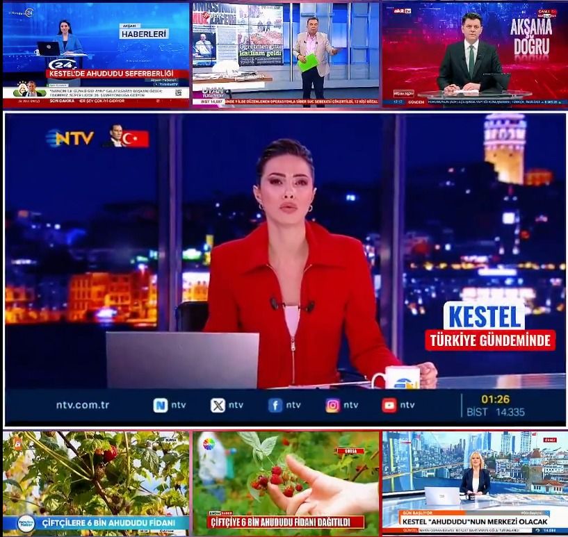 Kestel'imizin Ahududu fidanı, Türkiye gündeminde