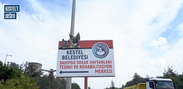 Patili dostlarımızın dünyasında bugün de mama saatleri, oyun molaları ve bolca sevgi vardı.